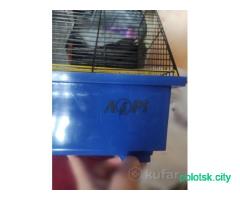 Клетка для грызунов 57х30х34 см