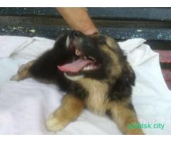 Мальчик 3.5месяца