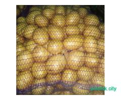 Продам крупный домашний картофель