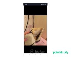 Ботинки р 37