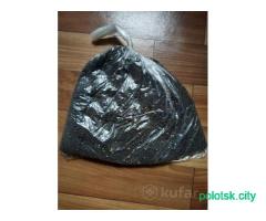 Семена рапса