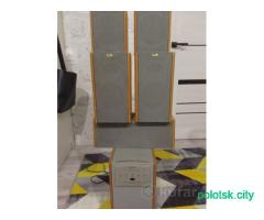 Акустическая система