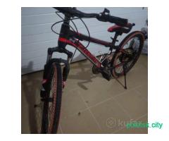 Велосипед Greenway