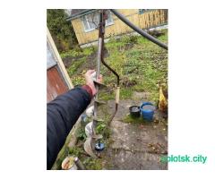 Ледобур с нержавейки