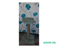 Когтеточка