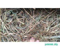 Сено 450-550кг доставка.