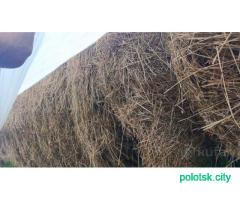 Сено 450-550кг доставка.