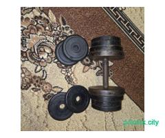 Гантели разборные