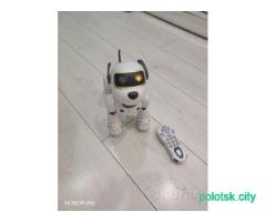 Интерактивная игрушка