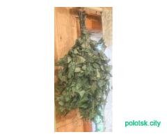 Веник банный