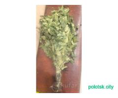 Веник банный