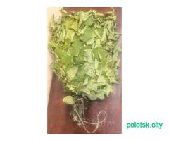 Веник банный