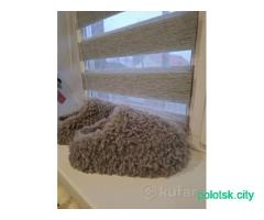 Угги барашки