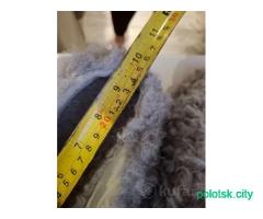 Угги барашки