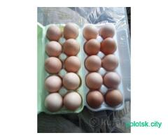 Яйцо куриное