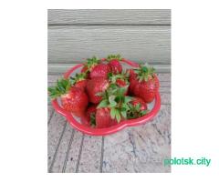 Целые ягоды клубники (замороженные)