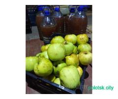 Яблоки домашние