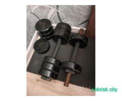 Гантели разборные