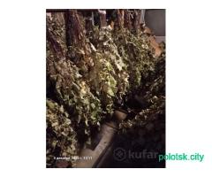 Веники для бани березовые