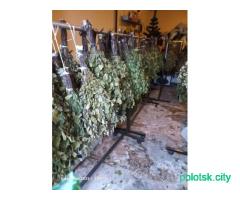 Веники для бани березовые