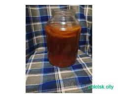 Чайный гриб