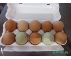 Яйца куриные