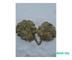 Веники банные дубовые