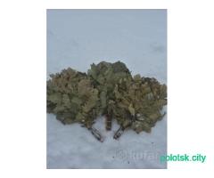 Веники банные дубовые