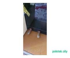 Фортепиано Беларусь