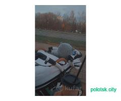 Коляска 2в1 люлька