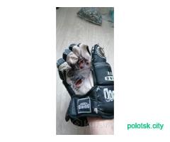 Краги хоккейные перчатки, щитки вратарскиеракушки