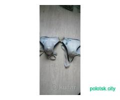 Краги хоккейные перчатки, щитки вратарскиеракушки