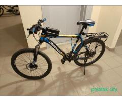 Велосипед Greenway X1