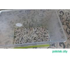 аквариум 21литр