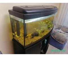 АКВАРИУМ на 205 литров (Польша) вместе с тумбой