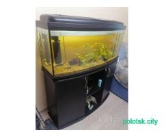 АКВАРИУМ на 205 литров (Польша) вместе с тумбой
