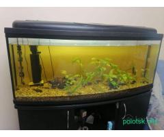 АКВАРИУМ на 205 литров (Польша) вместе с тумбой