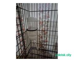 клетка двухэтажная