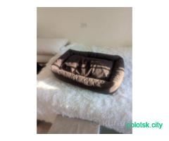 Лежанка для собачки