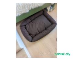 Лежанка для собачки