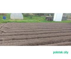 Культивация.Благоустройство.Газон.