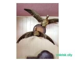 Охота и рыбалка