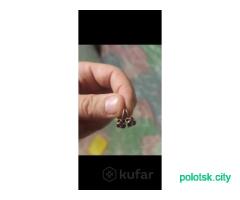 Серёжки серебро СССР 875 проба звезда.