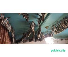Вяленая слабосоленая Плотва с Чудского озера