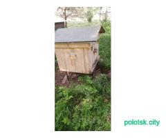 Продам улей