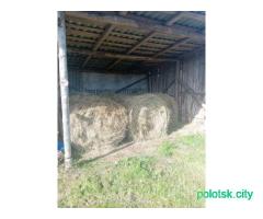 Сено. С доставкой