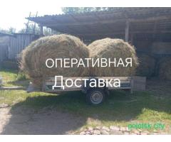 Сено. С доставкой