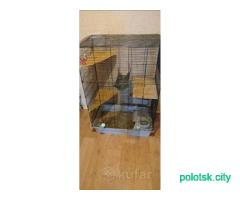 Продам шиншилл с клеткой. Девочки
