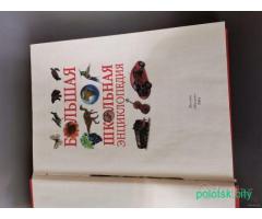 Книга Большая школьная энциклопедия.