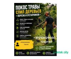 Покос травы, спил садовых деревьев, культивация участков